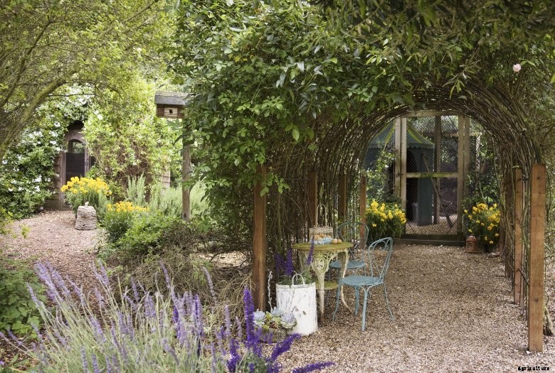 101613500fee24df415eb2fc2b8a9dfdb4c8061601ef27f41_covered_arbor